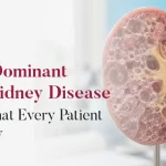 Illustration showing Autosomal Dominant Polycystic Kidney Disease (ADPKD) affecting both kidneys with multiple fluid-filled cysts