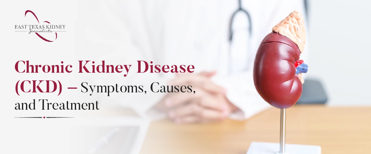 Chronic Kidney Disease (ckd) – Symptoms, Causes, And Treatment