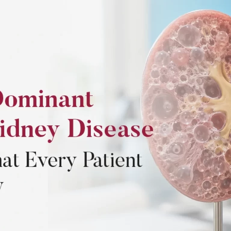 Illustration showing Autosomal Dominant Polycystic Kidney Disease (ADPKD) affecting both kidneys with multiple fluid-filled cysts